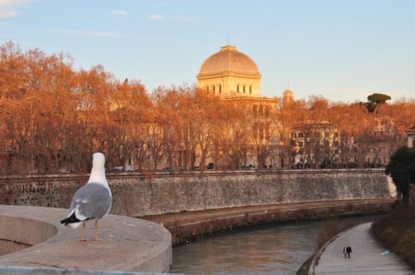 io sono stato a Roma 